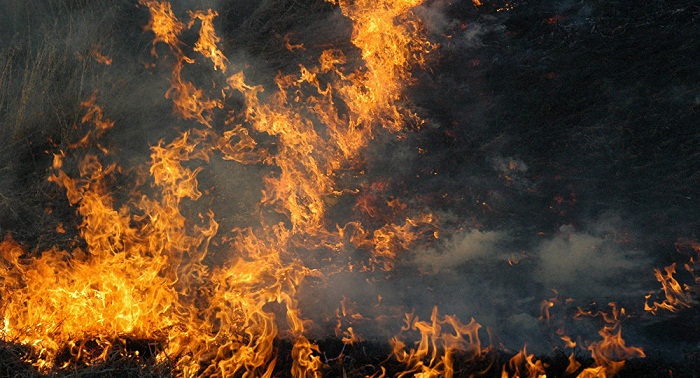 France: Une mosquée ciblée par un incendie criminel